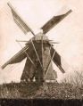 De molen "Het Hert" was een grote achtkantige bergkorenmolen, die stond aan de Boschweg. Deze molen werd in 1895 aldaar opgericht door Adrianus Merkx geboren te Schijndel in 1839. Hij bouwde de molen voor zijn schoonzoon Johannes van de Wiel, geboren in 1868 te Moergestel. De molen komt hier en daar ook met de naam "Onbevreesd" in de boeken voor. Rond het jaar 1928 werd deze molen overgedragen aan Petrus van Tartwijk, geboren in 1894 in Schijndel. Op 23 augustus 1933 werd de molen door bliksem getroffen en brandde geheel af. Voor grote foto klik hier.