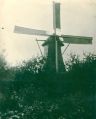 De molen "Het Hert" aan de Boschweg waar nu het wooncomplex Elzenhof is gebouwd. De molen is gebouwd in 1895 en afgebrand op 23 augustus 1933. Voor grote foto klik hier.