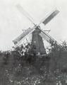 De molen "Het Hert" was een grote achtkantige bergkorenmolen, die stond aan de Boschweg. Deze molen werd in 1895 aldaar opgericht door Adrianus Merkx geboren te Schijndel in 1839. Hij bouwde de molen voor zijn schoonzoon Johannes van de Wiel, geboren in 1868 te Moergestel. De molen komt hier en daar ook met de naam "Onbevreesd" in de boeken voor. Rond het jaar 1928 werd deze molen overgedragen aan Petrus van Tartwijk, geboren in 1894 in Schijndel. Op 23 augustus 1933 werd de molen door bliksem getroffen en brandde geheel af. Voor grote foto klik hier.